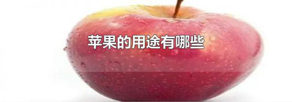 苹果的用途有哪些