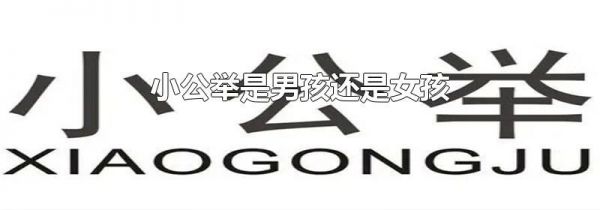 小公举是男孩还是女孩