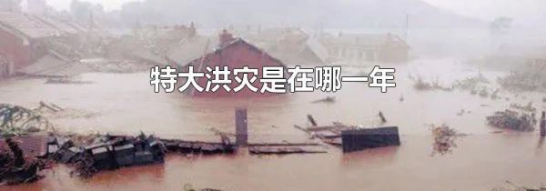 特大洪灾是在哪一年