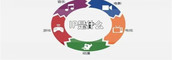 IP是什么