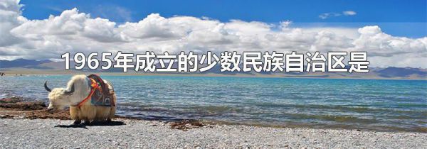 1965年成立的少数民族自治区是