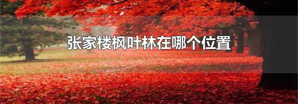张家楼枫叶林在哪个位置