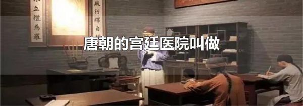 唐朝的宫廷医院叫做