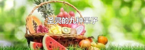 圣灵的九种果子