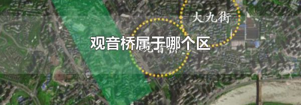 观音桥属于哪个区