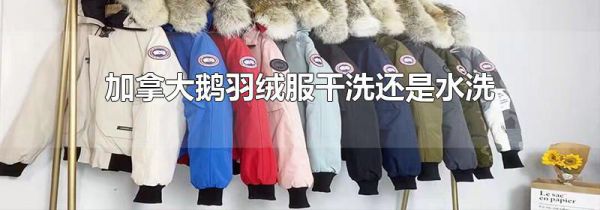 加拿大鹅羽绒服干洗还是水洗