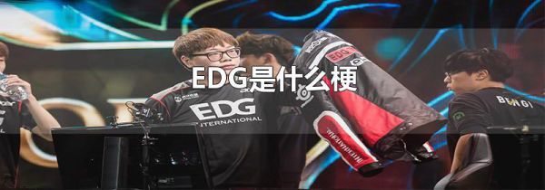EDG是什么梗