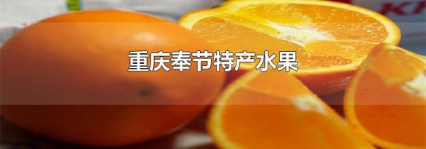 重庆奉节特产水果
