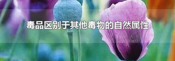毒品区别于其他毒物的自然属性