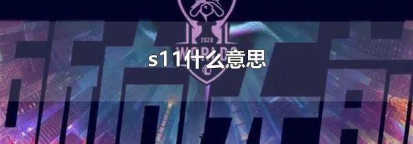 s11什么意思