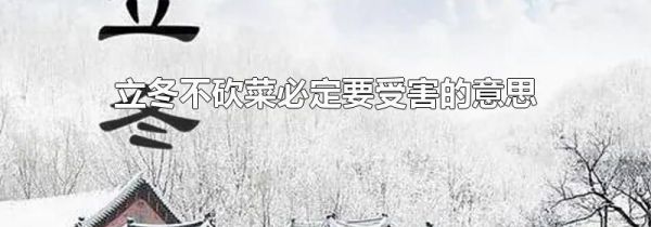 立冬不砍菜必定要受害的意思
