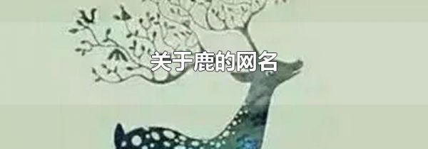 关于鹿的网名