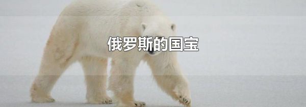 俄罗斯的国宝