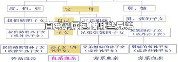 直系亲属包括哪些兄弟