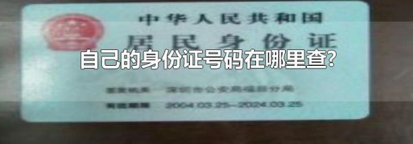 自己的身份证号码在哪里查?