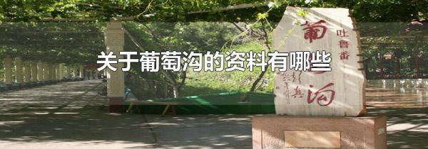 关于葡萄沟的资料有哪些
