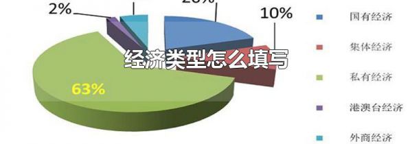 经济类型怎么填写