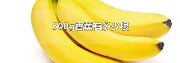 500g香蕉有多少根