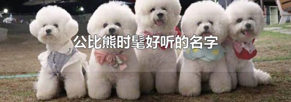 公比熊时髦好听的名字