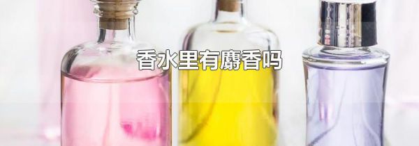 香水里有麝香吗