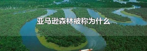 亚马逊森林被称为什么