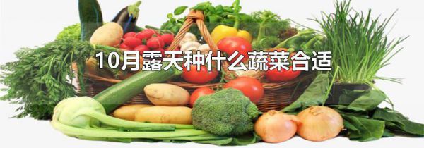 10月露天种什么蔬菜合适