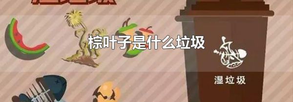 棕叶子是什么垃圾