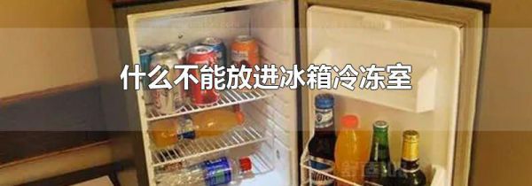 什么不能放进冰箱冷冻室