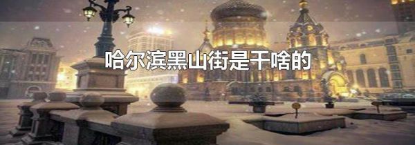 哈尔滨黑山街是干啥的