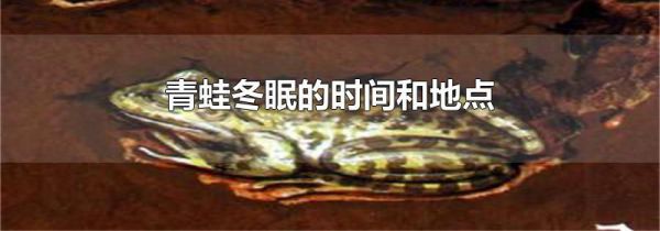 青蛙冬眠的时间和地点