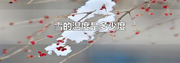 雪的温度是多少度