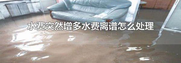 水费突然增多水费离谱怎么处理