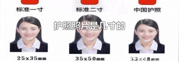 护照照片是几寸的