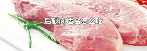 后腿肉适合怎么吃