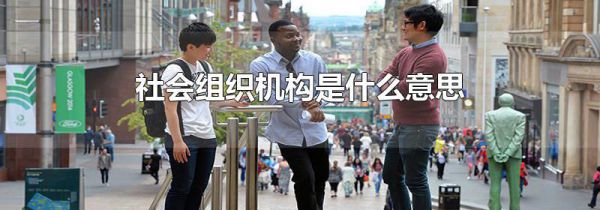 社会组织机构是什么意思