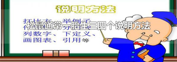松鼠通常一胎生三四个说明方法