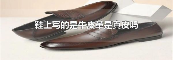 鞋上写的是牛皮革是真皮吗