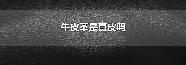 牛皮革是真皮吗