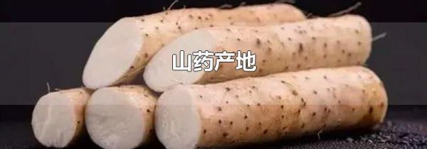 山药产地