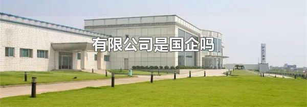 有限公司是国企吗