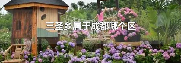三圣乡属于成都哪个区