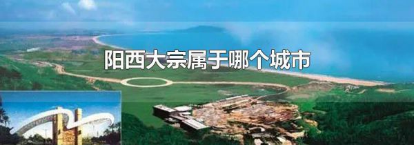 阳西大宗属于哪个城市