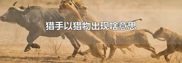 猎手以猎物出现啥意思