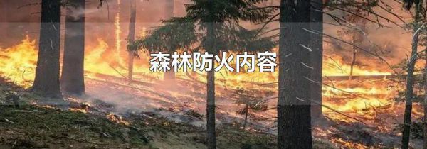 森林防火内容