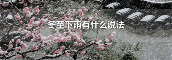 冬至下雨有什么说法