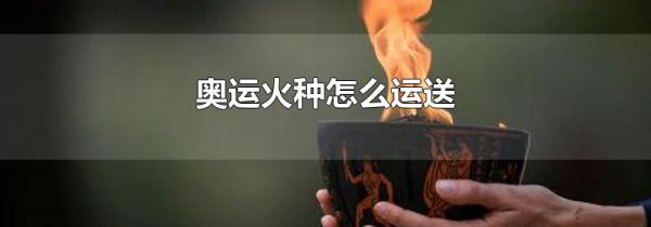 奥运火种怎么运送