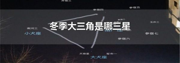 冬季大三角是哪三星