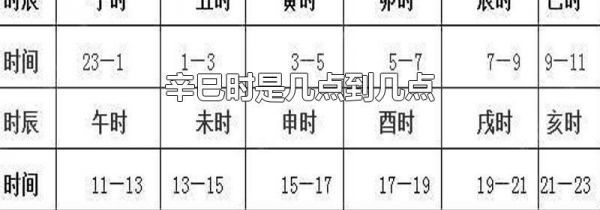 辛巳时是几点到几点