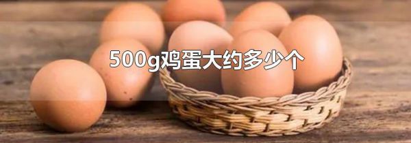 500g鸡蛋大约多少个
