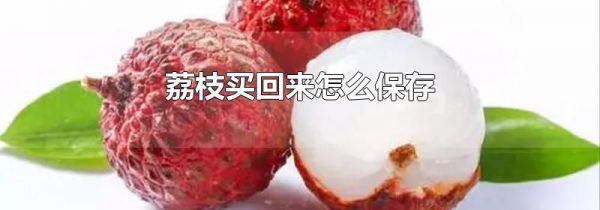 荔枝买回来怎么保存